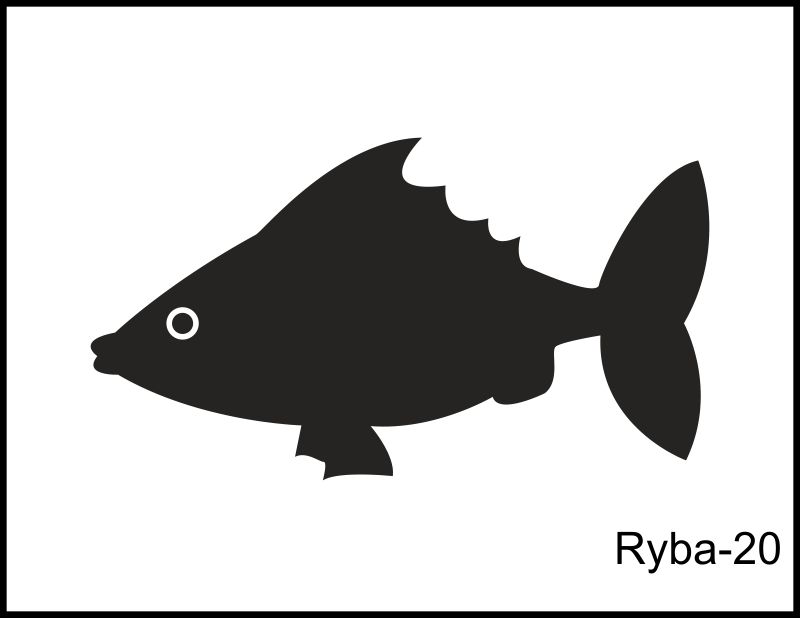 ryba 20